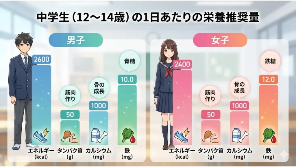 中学生の男女別（12〜14歳）における1日の栄養推奨量を示すインフォグラフィック。エネルギー、タンパク質、カルシウム、鉄分の数値を比較したグラフ。